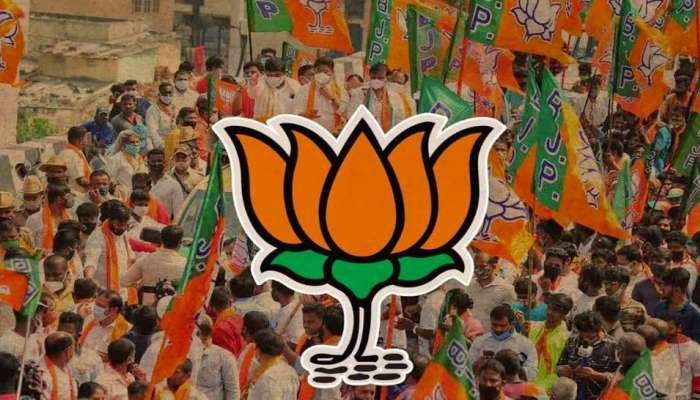 'ચૂંટણી પરિણામો તો એક ટ્રેલર છે, પિક્ચર અભી બાકી હે...', જાણો ગુજરાત ભાજપના 3 નેતાનું નિવેદન