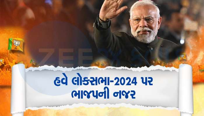 લોકસભા પહેલાં 200 સીટો પર ભાજપને બઢત, આ 2 રાજ્યોમાંથી 100 સીટો જીતવાનો ટાર્ગેટ