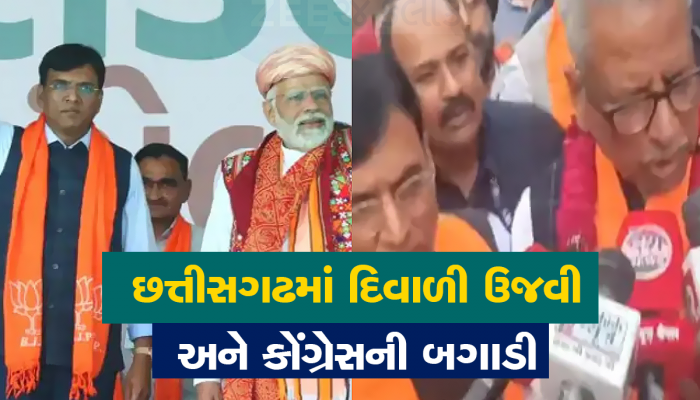 અમિત શાહ બાદ ચૂંટણીના ચાણક્ય સાબિત થયા મનસુખ માંડવિયા, ગુજરાતી નેતાનું દિલ્હીમાં કદ વધ્યું