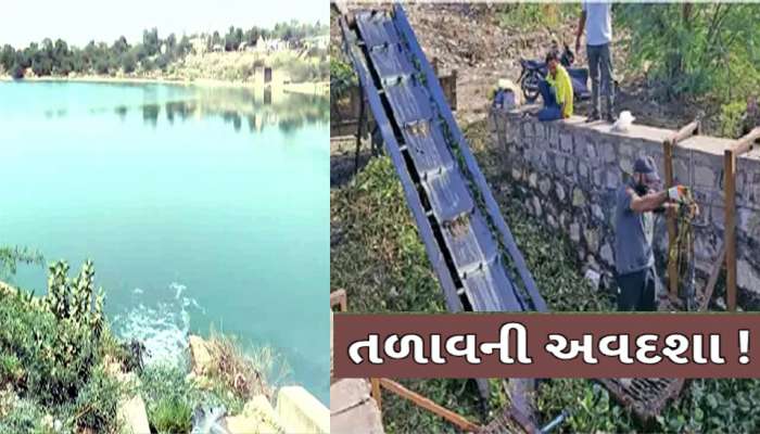 ઐતિહાસિક ધરોહરની દુર્દશા; આ યુવકે નવાબીકાળમાં બંધાયેલા માનસરોવરને ચોખ્ખું કરવાની ઉપાડી છે મુહીમ