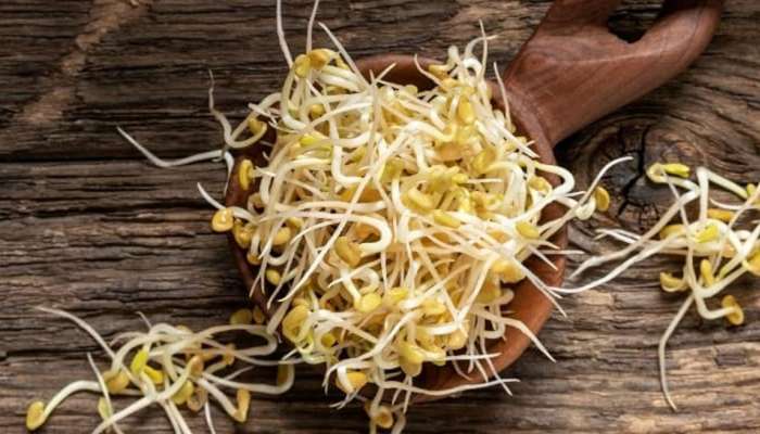 Sprouted Methi: નસેનસમાં જામેલી ચરબીને ઓગાળી દેશે મેથી, આ રીતે ખાવાથી બ્લડ સુગર પણ રહેશે કંટ્રોલમાં