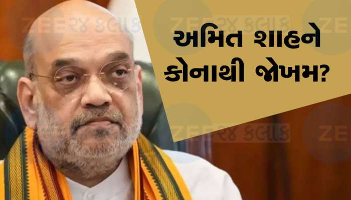 ભાજપના ધાકડ નેતા અમિત શાહને કોનાથી ખતરો, સ્પીકરને કહ્યું- ' મહેરબાની કરીને મને સુરક્ષા આપો'