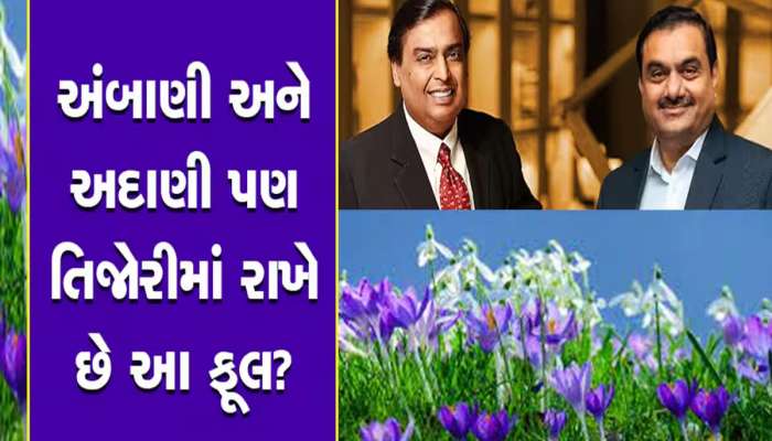 શું એ વાત સાચી છેકે, અંબાણી અને અદાણી આ માતાજીને ચઢાવેલાં ફૂલો તિજોરીમાં રાખે છે?