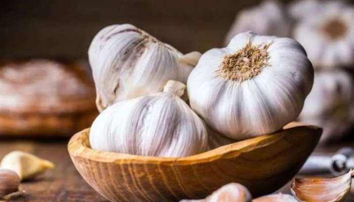 Garlic Benefits: સવારે ખાલી પેટ કાચું લસણ ખાવાના 5 એવા ફાયદા જે તમે નહીં જાણતા હોવ