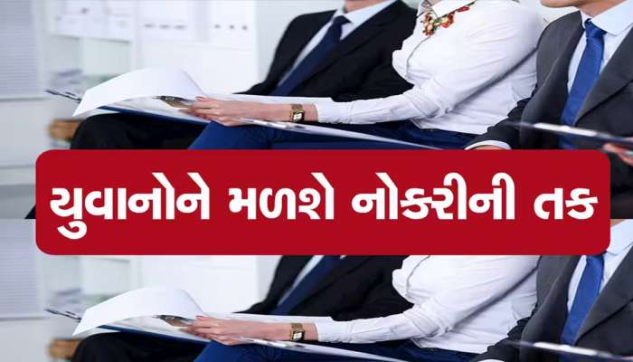 બેરોજગારોને બખ્ખાં! આ પાર્કની સ્થાપનાથી ગુજરાતમાં ઊભી થશે હજારો રોજગારીની તકો, ગુજરાત સરકારે...
