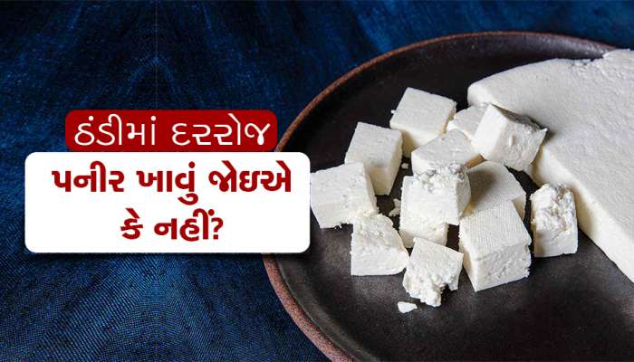 ઠંડીની સિઝનમાં દરરોજ પનીર ખાવું જોઇએ કે નહીં? જાણો શું કહે છે એક્સપર્ટ?