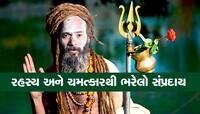 માત્ર કુંભ જ દેખાય છે નાગા સાધુઓ, ક્યાંથી આવે છે અને ક્યાં જતા રહે છે આ તપસ્વીઓ