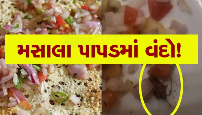 હોટલમાં જમવા ગયેલા ગ્રાહકને થયો કડવો અનુભવ, પિરસાયેલા મસાલા પાપડમાં ફરતો હતો વંદો 