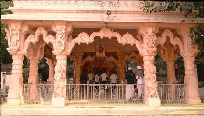 ગુજરાતના આ મંદિરનું આખરે શું છે રહસ્ય? શ્વાન અચાનક આરતી સમયે આવી જાય છે અને....