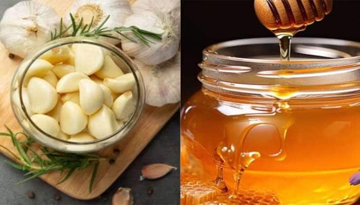 Garlic and Honey: રોજ સવારે સાદું લસણ નહીં આ ખાસ ઔષધીવાળું લસણ ખાવાથી બીમારી થશે દુર