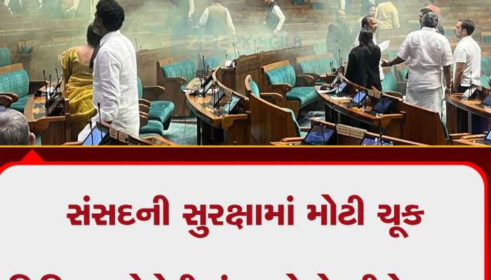 Watch Video: સંસદ પર હુમલાની વરસીના દિવસે સુરક્ષામાં ભારે ચૂક, વિઝિટર ગેલેરીમાં 2 લોકો નીચે કૂદ્યા, સ્પ્રે છાટ્યું