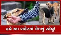 ગુજરાતીઓ બચીને રહેજો! હવે આ શહેરમાં ભારે પડી રહ્યો છે શ્વાનનો આતંક, માસુમ બાળક પર...