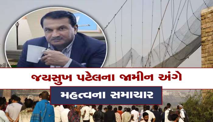 કેમ જયસુખના જામીન માટે રાજી થઈ ગઈ ગુજરાત સરકાર? સરકારી વકીલે આ માટેના કારણો પણ શોધ્યા!