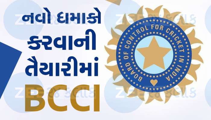 New League: IPL જેવી વધુ એક લીગ શરૂ કરવાની તૈયારીમાં BCCI,જાણો કેવું હશે ફોર્મેટ