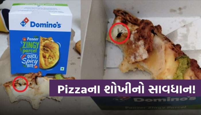 વધુ એક પ્રસિદ્ધ પિઝા કંપનીના આઉટલેટમાં ગંભીર બેદરકારી; મરેલી માખીવાળું પીરસાઈ રહ્યું છે ભોજન