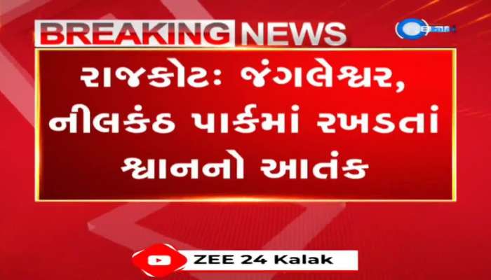 રાજકોટના જંગલેશ્વર અને નીલકંઠ પાર્ક વિસ્તારમાં રખડતાં શ્વાનનો આતંક, માસૂમ બાળક પર શ્વાનના ટોળાએ કર્યો હુમલો 