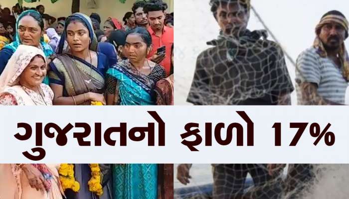 ગુજરાત સરકારની આ યોજના જબરજસ્ત ફળી! પરિવારોની આવકમાં સીધો 4 લાખનો તોતિંગ વધારો થયો