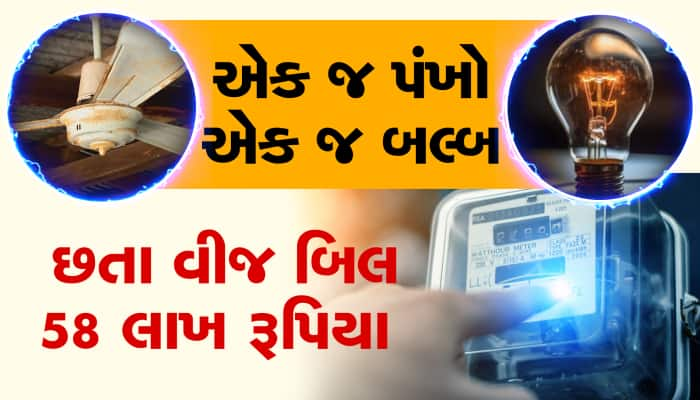 ઘરમાં એક જ પંખો અને એક જ બલ્બ છતા વીજળીનું બિલ 58 લાખ રૂપિયા, યૂપીની ઘટના ચર્ચામાં..