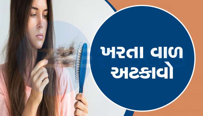 Hair Care: શિયાળામાં તૂટી રહ્યા છે વાળ તો આ વસ્તુઓનો કરો પ્રયોગ, ખતમ થઇ જશે સમસ્યા