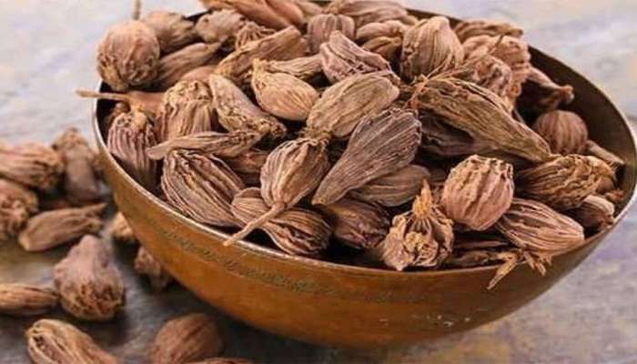 Skin Care: ત્વચાની કરચલીઓને દૂર કરે છે મોટી એલચી, આ રીતે ઉપયોગ કરશો તો લટકતી સ્કીન પણ થઈ જશે ટાઇટ