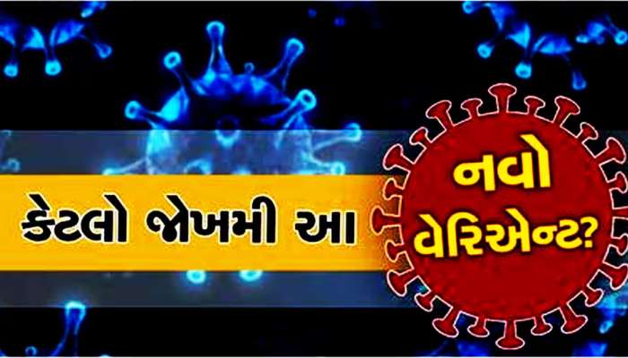 COVID JN1 Arrangement: ગુજરાતમાં ટેન્શન વધારી રહ્યો છે કોરોના! ઉત્તર ગુજરાતની આ હોસ્પિટલમાં કેવા પ્રકારની છે વ્યવસ્થા?