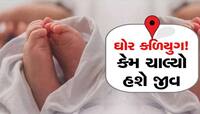 માતૃત્વ લજવતો કિસ્સો! નિષ્ઠુર જનેતાએ નવજાતને તરછોડી, કૂતરાઓએ અંગો ફાડી ખાતાં મોત