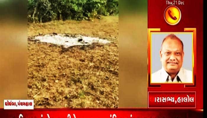 જાતિવાદનું ઝેર રાખી ન કરવા દીધો અંતિમ સંસ્કાર, બે દિવસ રઝળતી રહી મહિલાની લાશ