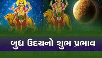 આને કહેવાય શાનદાર ન્યૂ ઇયર, પહેલાં જ દિવસથી વધી જશે આ લોકો આવક