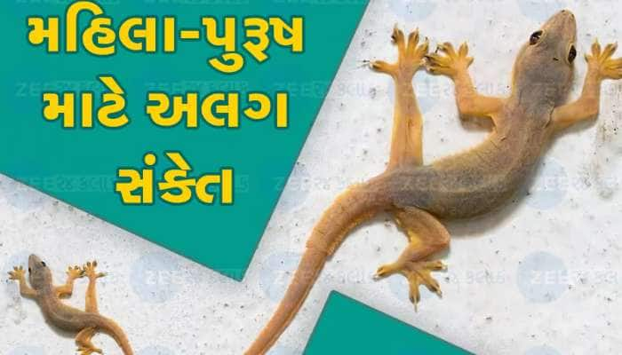 જાણો ક્યારે ગરોળી બનાવી શકે છે માલામાલ, સાક્ષાત લક્ષ્મી કરશે તમારા ઘરમાં વાસ