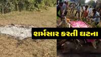 પંચમહાલમાં સભ્ય સમાજને શર્મસાર કરતી ઘટના; મૃતક મહિલાના મોતનો મલાજો ન જળવાયો