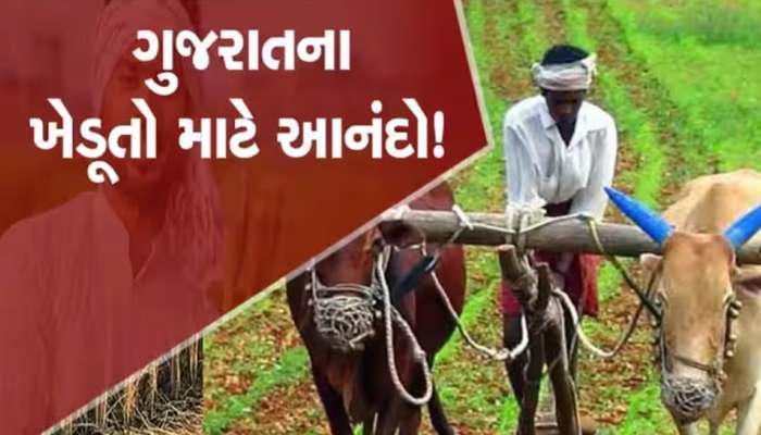 ખેડૂતો માટે CM ભૂપેન્દ્ર પટેલની સૌથી મોટી જાહેરાત, ZEE 24 કલાકના અહેવાલની સરકારે નોંધ લીધી