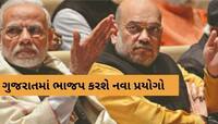 નવા નેતા નવી જવાબદારી! BJPના મોટા નેતાઓને ગુજરાત બહાર ધકેલાશે,ચૂંટણી પ્રભારી બનાવાશે
