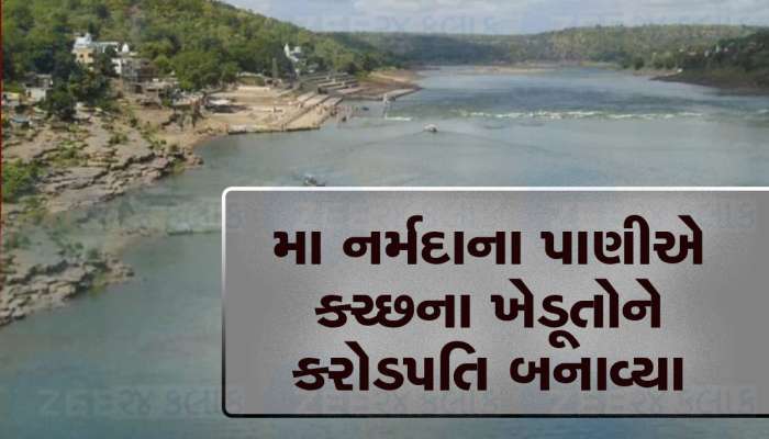 માથા પર લાગેલું કલંક ધોઈ કચ્છી ખેડૂતોએ કમાલ કરી, નર્મદાના પાણીથી અનોખી ખેતી કરી 35 કરોડ કમાણી કરી