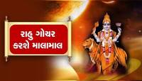 મીન રાશિમાં રહેશે રાહુ, 2024 માં આ રાશિના લોકોને બનાવશે કરોડપતિ, પ્રમોશન તો પાક્કું