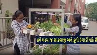 હવે ઘરમાં પણ ઉગાડી શકાશે શાકભાજી; ગુજરાતની ત્રણ વિદ્યાર્થીનીઓએ બનાવ્યો સફળ પ્રોજેક્ટ