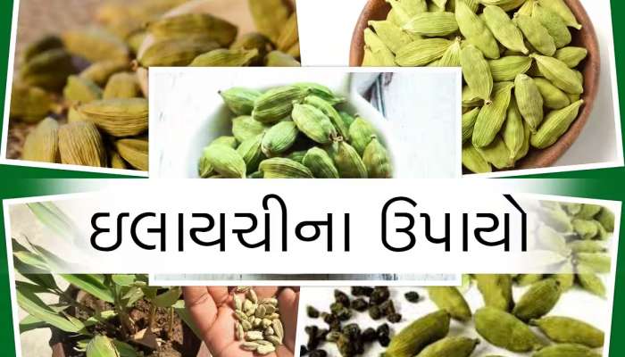 Elaichi Remedy: નોકરી સેટિંગ ન પડતું હોય કે પછી દેવું હોય, આ ટોટકો કરી દેશે લીલાલહેર