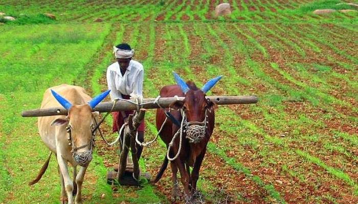 સસ્તી લોનથી લઈને સબસિડી સુધી...ખેડૂતોને ભરપૂર ફાયદો કરાવે છે આ 5 સરકારી યોજનાઓ