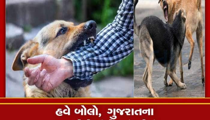 ગુજરાતમાં કૂતરાઓથી બચીને રહેજો, રોજ 700થી વધુ લોકોને કરડી રહ્યા છે