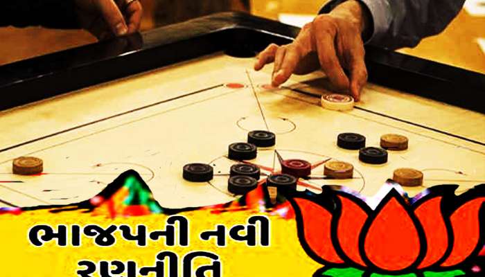 નડતા નેતાઓને કેરમની કુકડીની જેમ કિનારે કરશે ભાજપ! ગુજરાતમાં ઘણા મોટા 'ભા' બનશે