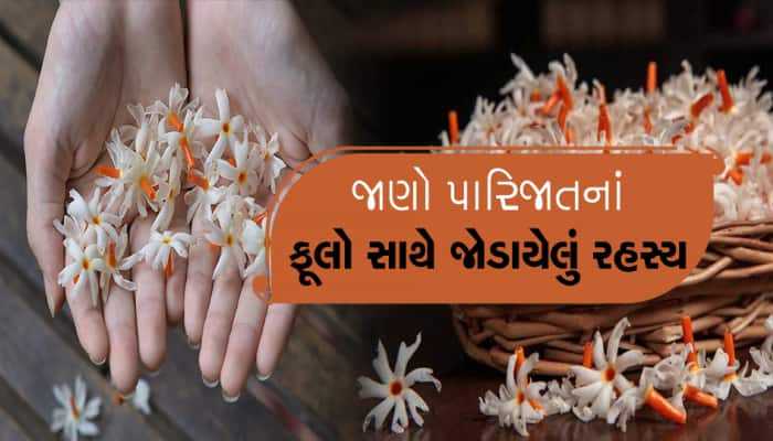 શું તમે જાણો છો એવું કયું ફૂલ છે જેનું કનેક્શન સીધું સ્વર્ગ સાથે છે?