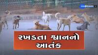 ગુજરાતમાં હવે ઘરની બહાર રમતાં બાળકો પણ સલામત નથી! 6 વર્ષની બાળકી પર હુમલો