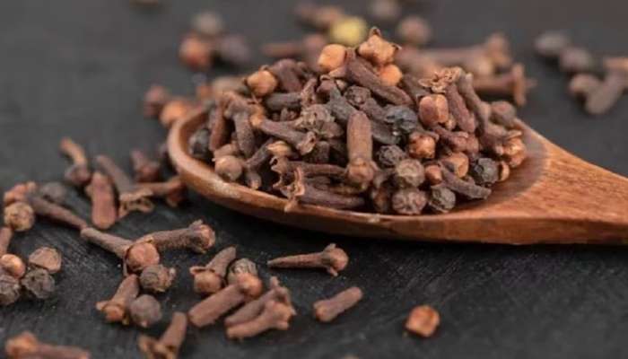 રાતોરાત સુતેલા ભાગ્યને જગાડશે તકિયા નીચે રાખેલા 8 લવિંગ, અટકેલું ધન મળશે પરત