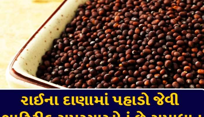 100 બીમારીઓથી બચવા જાણો રાઈના નાનકડા દાણાના આ 10 મોટા ફાયદા