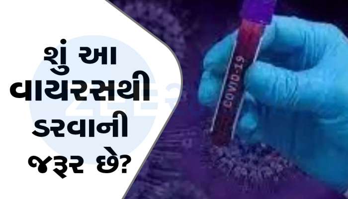 Corona JN.1: કેટલો ખતરનાક છે કોરોના JN.1? જાણો આ વેરિએન્ટથી પોતાને કેવી રીતે રાખશો સુરક્ષિત