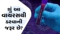 કેટલો ખતરનાક છે કોરોના JN.1? જાણો આ વેરિએન્ટથી પોતાને કેવી રીતે રાખશો સુરક્ષિત