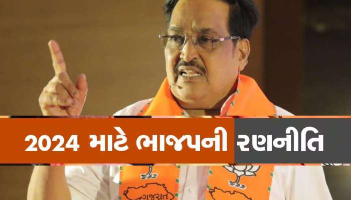 લોકસભા માટે ભાજપની નવી રણનીતિ : મિશન મોડમાં આવી ગયેલા ગુજરાત ભાજપે લીધો મોટો નિર્ણય