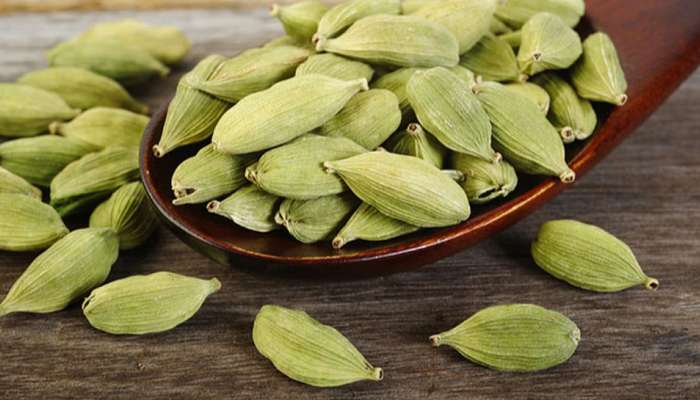 Health Tips: તમને પણ જમ્યા પછી એલચી ખાવાની આદત છે? તો જાણી લો તેના ફાયદા અને નુકસાન વિશે