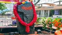 Shani Dosh: શનિ દોષના કારણે જીવનમાં સર્જાય છે ઊથલપાથલ ? તો આજે જ કરો આ ઉપાય