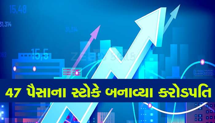 માત્ર 22000 ના રોકાણ પર બનાવી દીધા કરોડપતિ, આ સરકારી સ્ટોકે કરાવી બમ્પર કમાણી