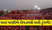 ખેડૂતો સાવધાન; આ સમાચાર વાંચીને બેસી જશે છાતીના પાટિયા, એક જ રાતમાં ચિત્ર બદલાયું!